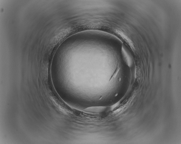 X0000090490493200707131331