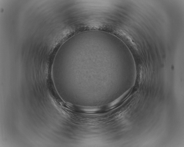 X0000090490496200707131331