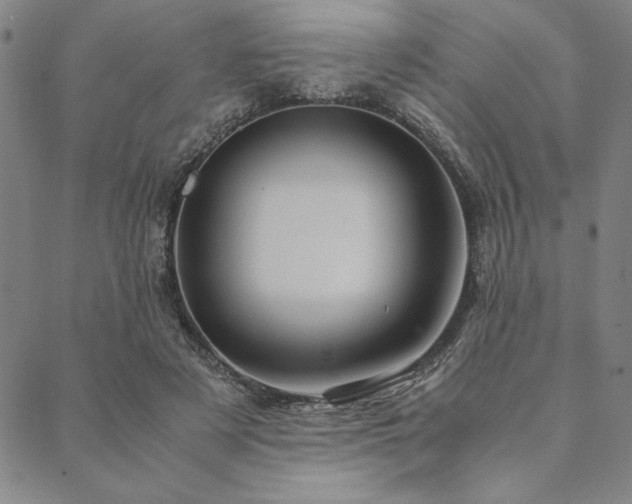 X0000090490497200707131331