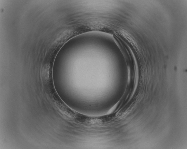 X0000090490501200707131331
