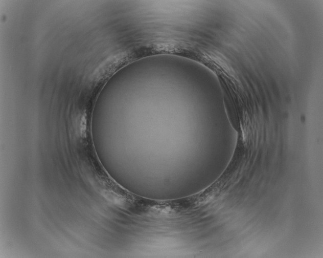 X0000090490502200707131331