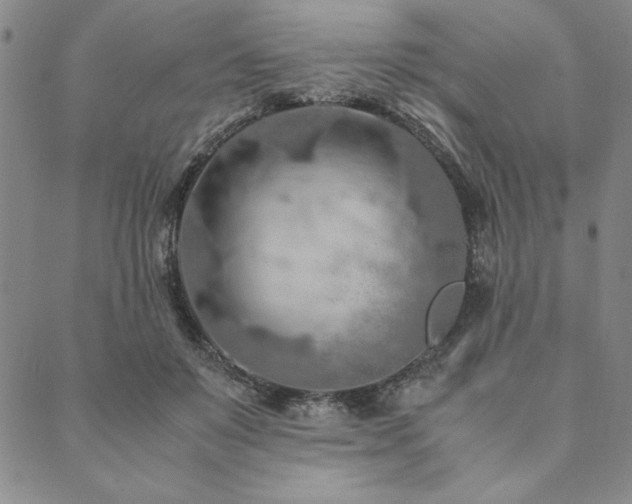 X0000090490503200707131331