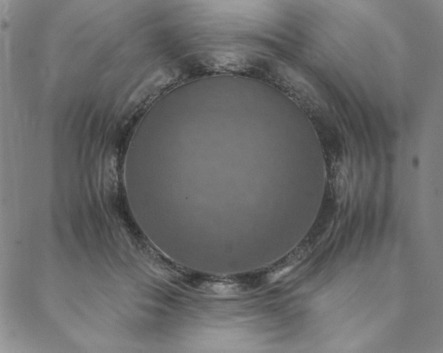 X0000090490506200707131331