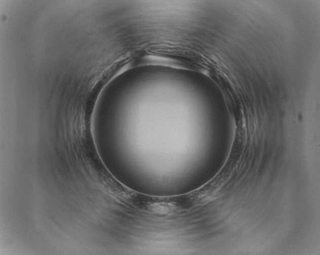 X0000090490508200707131330
