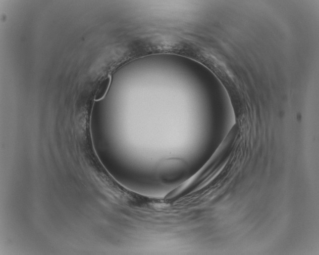 X0000090490509200707131330