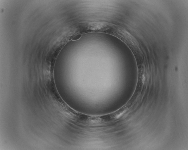 X0000090490510200707131330