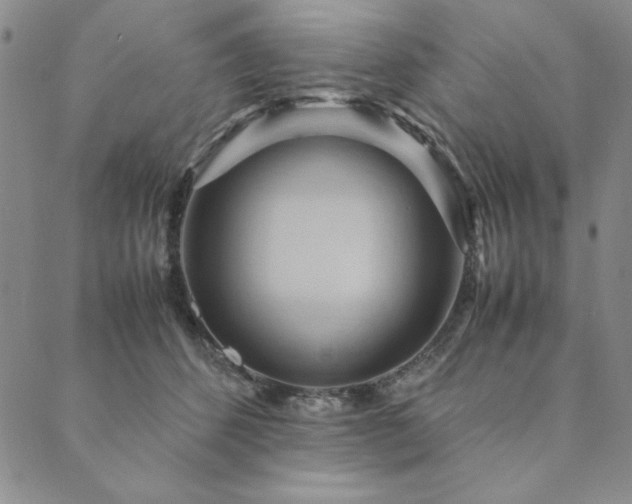 X0000090490512200707131330
