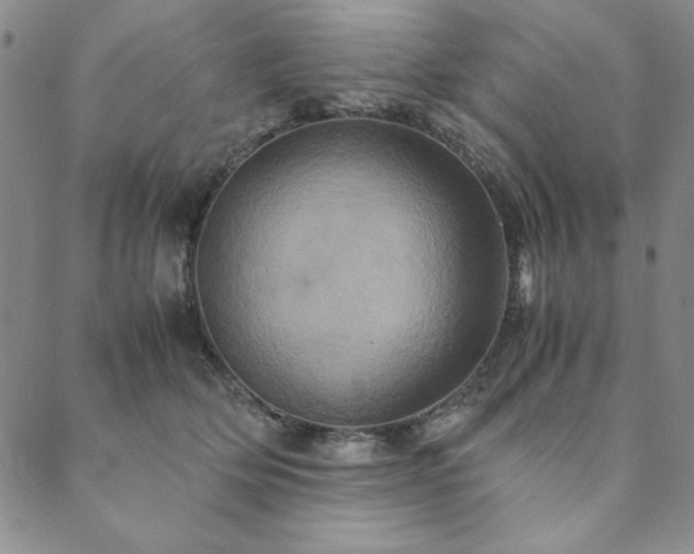 X0000090490514200707131330