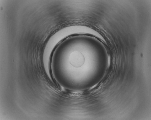 X0000090490516200707131330