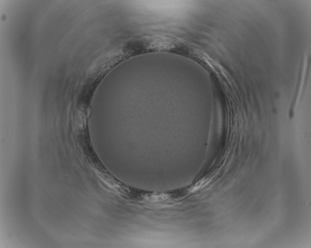 X0000090490517200707131330