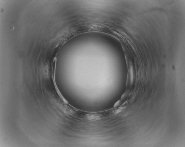 X0000090490520200707131330