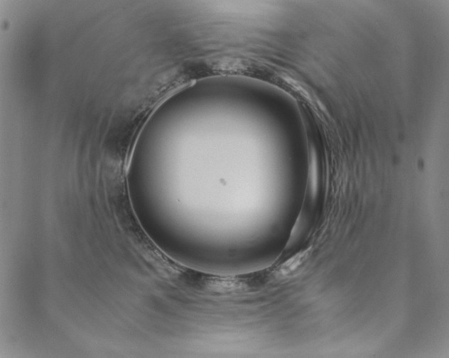 X0000090490521200707131330