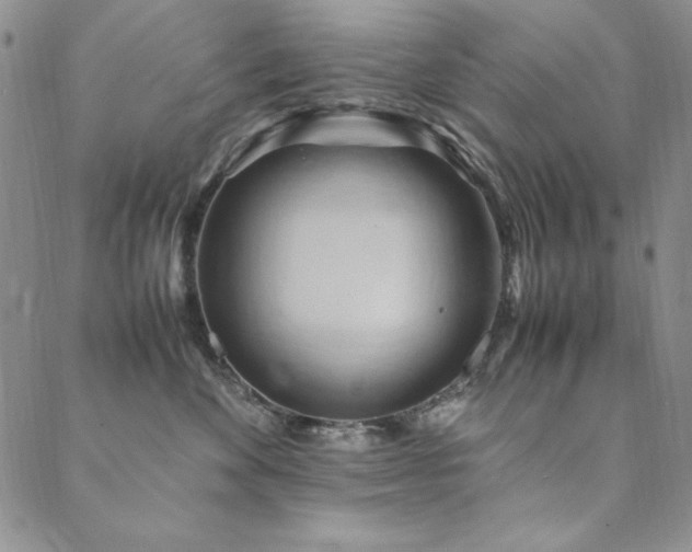 X0000090490524200707131330