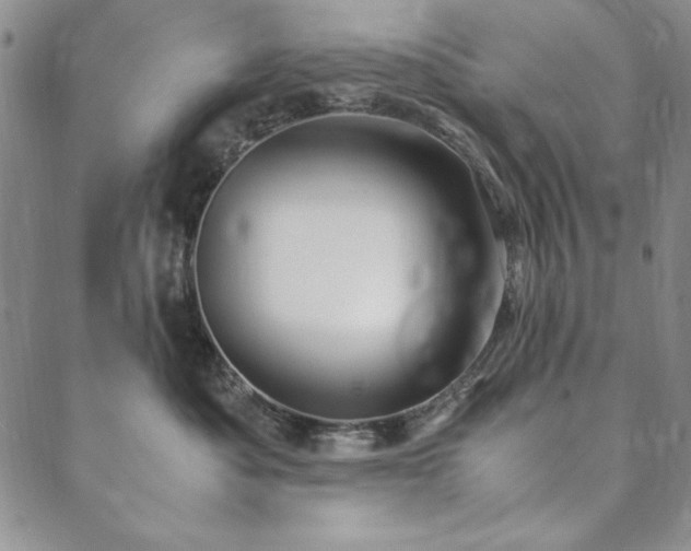 X0000090490525200707131330
