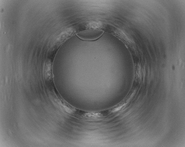 X0000090490526200707131330