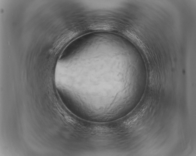X0000090490529200707131329