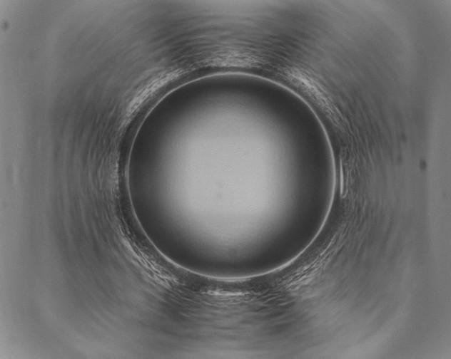 X0000090490531200707131329