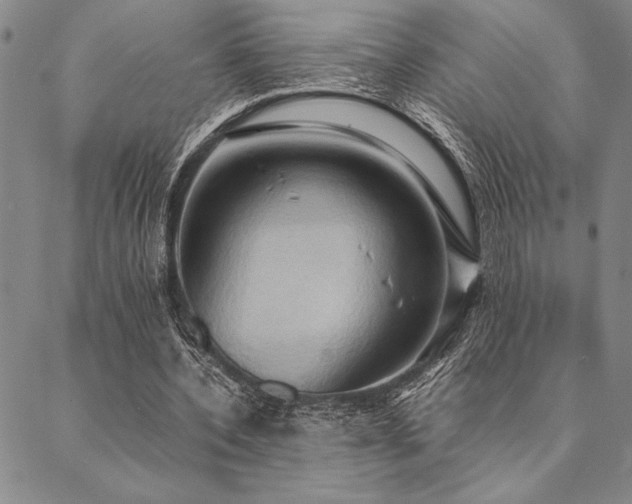 X0000090490532200707131329