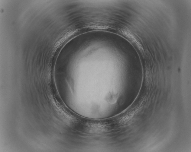 X0000090490533200707131329