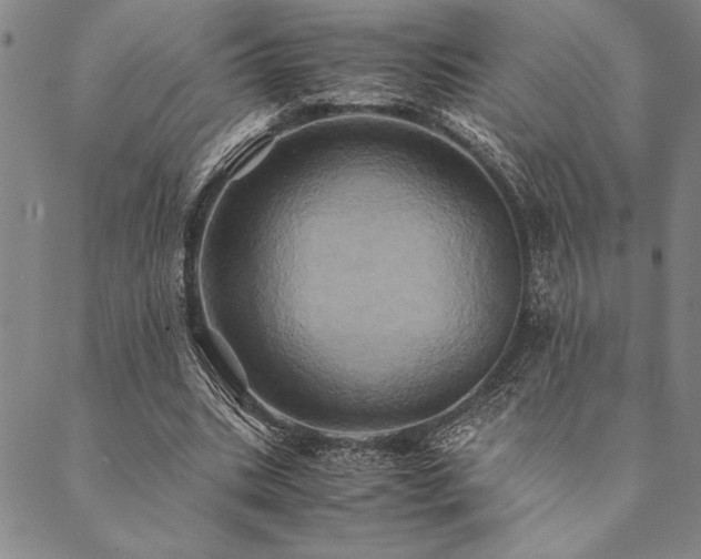X0000090490535200707131329