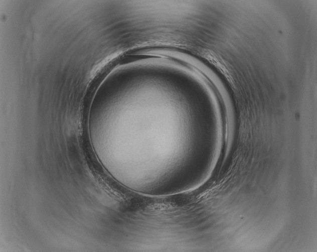 X0000090490536200707131330