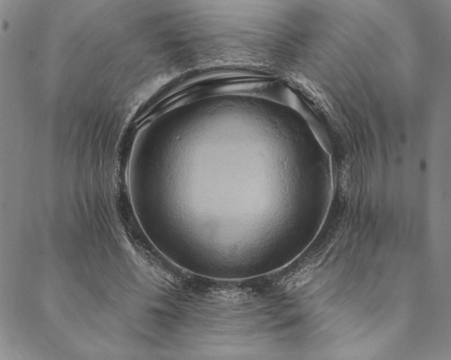 X0000090490540200707131330