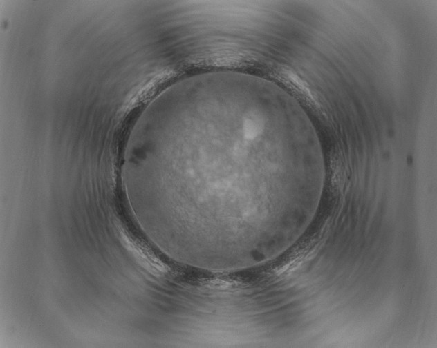 X0000090490542200707131330