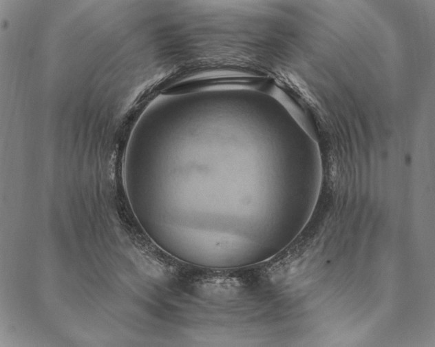 X0000090490543200707131330