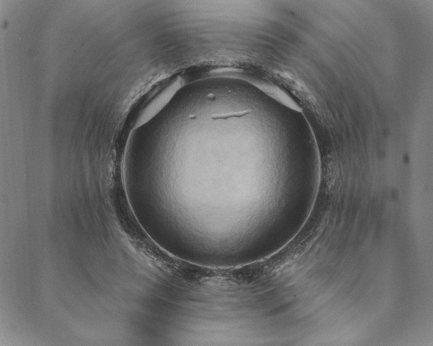 X0000090490544200707131330