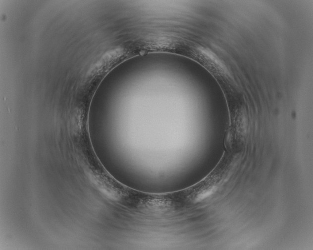 X0000090490546200707131330