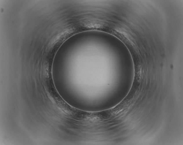 X0000090490547200707131330