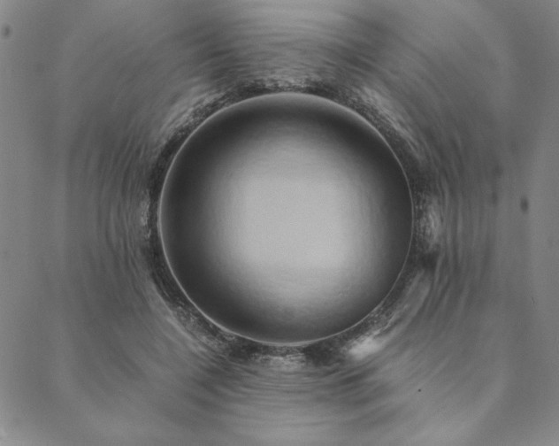 X0000090490548200707131330