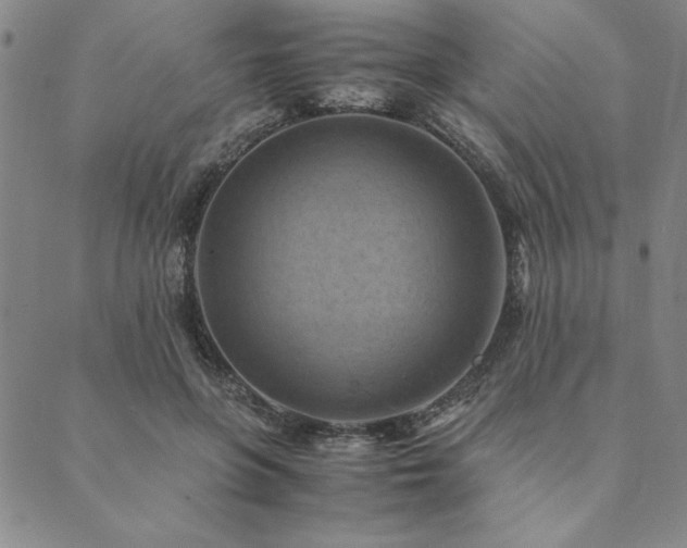 X0000090490551200707131330