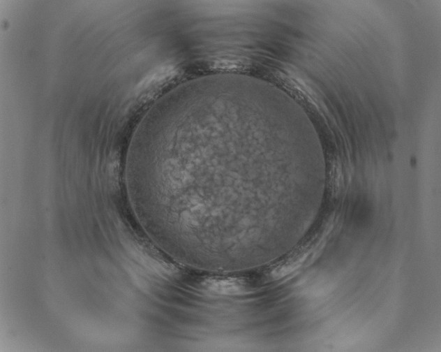 X0000090490557200707131330