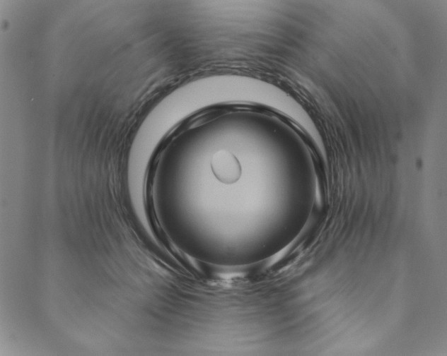 X0000090490558200707131330