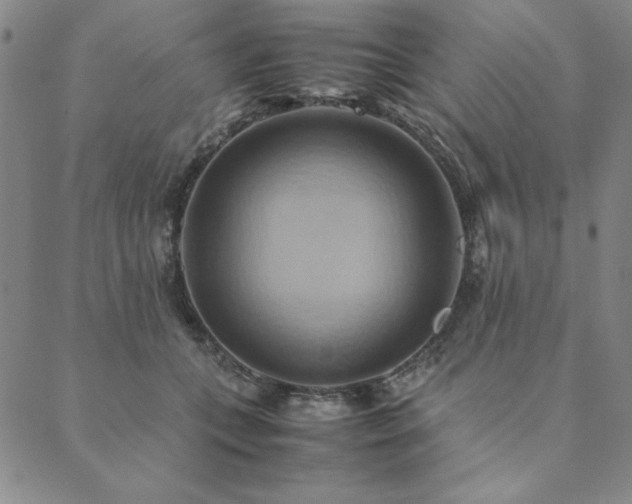 X0000090490559200707131330