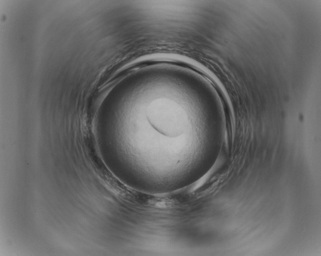 X0000090490564200707131330