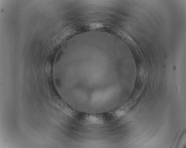 X0000090490565200707131330