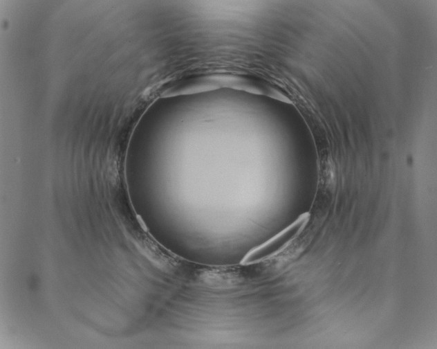 X0000090490568200707131330