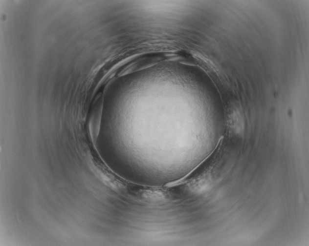 X0000090490572200707131330