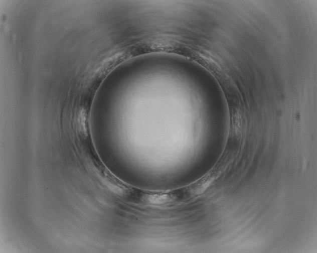 X0000090490575200707131330