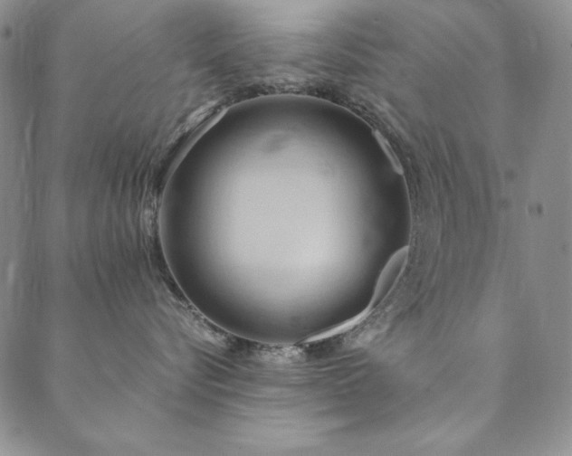 X0000090490576200707131330