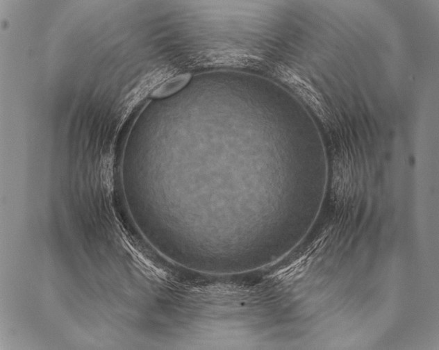 X0000090490578200707131329