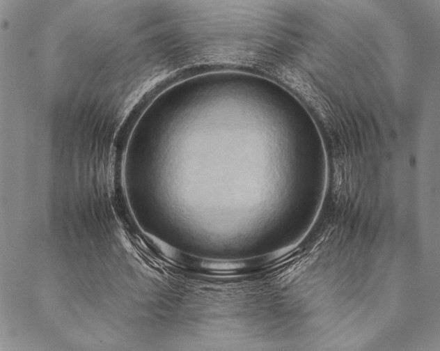 X0000090490580200707131329