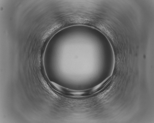 X0000090490581200707131329