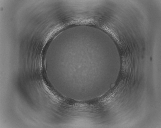 X0000090490582200707131329