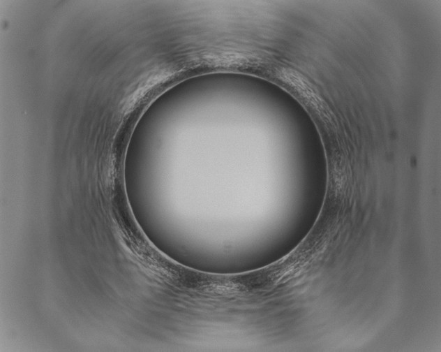 X0000090490583200707131329