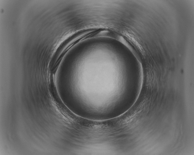 X0000090490584200707131329