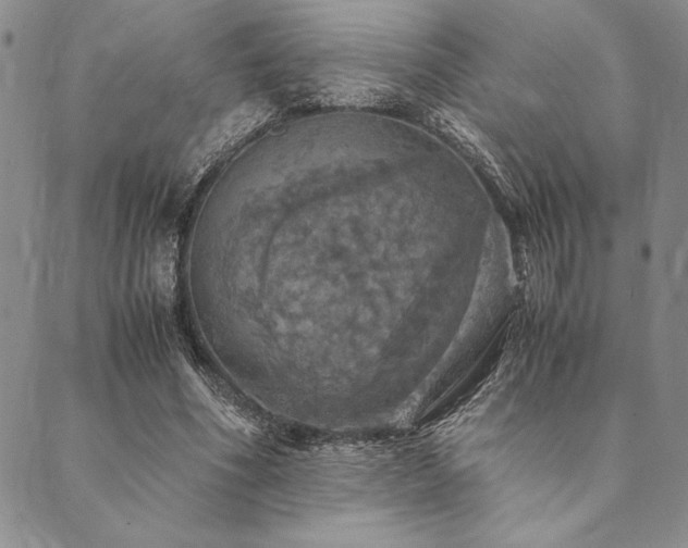 X0000090490586200707131329