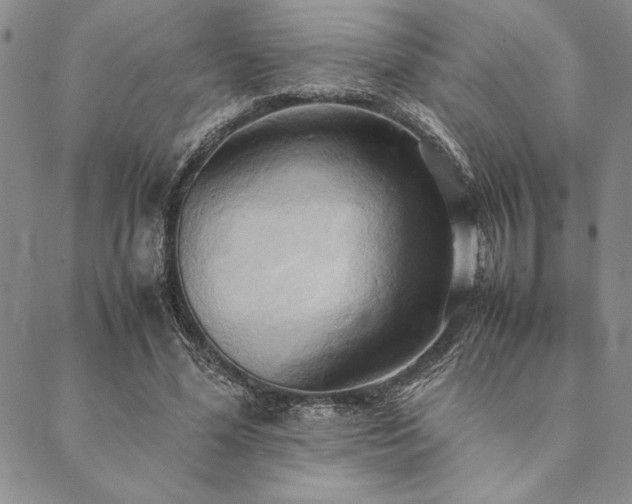 X0000090490588200707131329